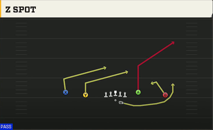 NC State Offense Gun Doubles Y-Flex Offset Z Spot play diagram