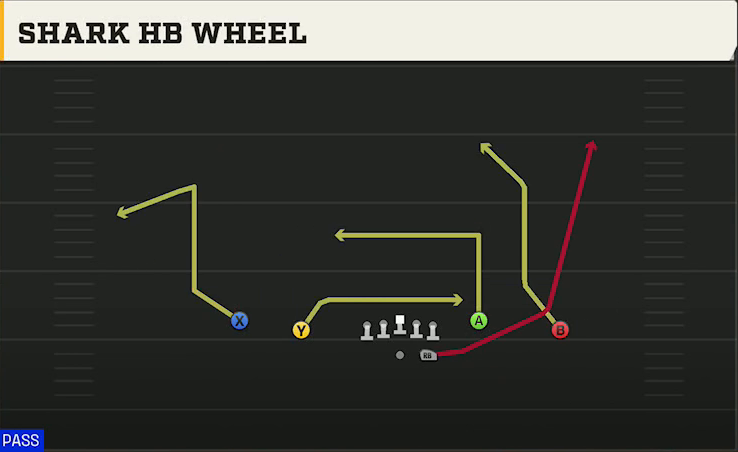 Southern Miss Offense Gun Doubles Y-Flex Shark HB Wheel play diagram