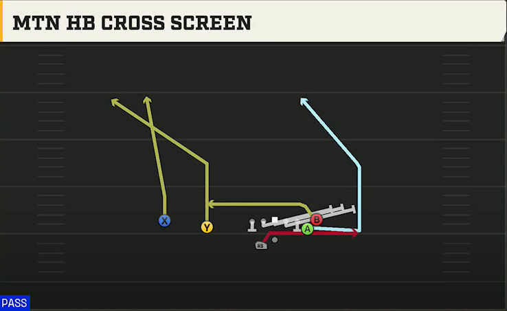Northwestern Offense Gun Doubles Flex Wk Mtn HB Cross Screen play diagram