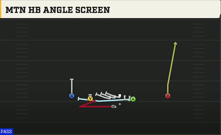 Jacksonville State Offense Gun Doubles Y Off Wk Mtn HB Angle Screen play diagram