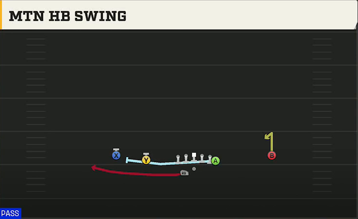 Texas A&M Offense Gun Doubles Y Off Wk Mtn HB Swing play diagram