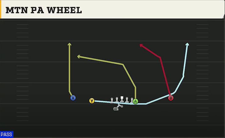 Rice Offense Gun Wingback Doubles Off Wk Mtn PA Wheel play diagram