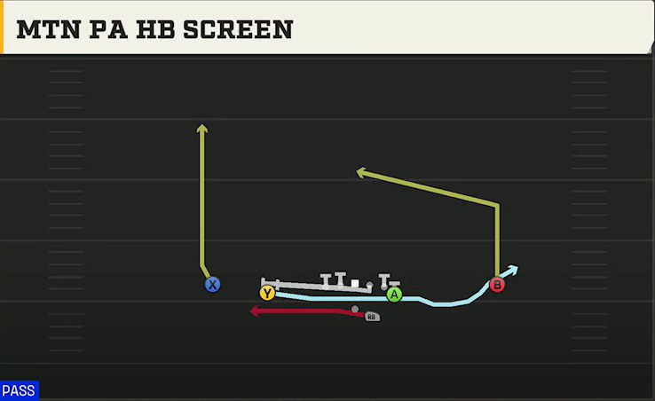 New Mexico Offense Gun Doubles Y Off Mtn PA HB Screen play diagram