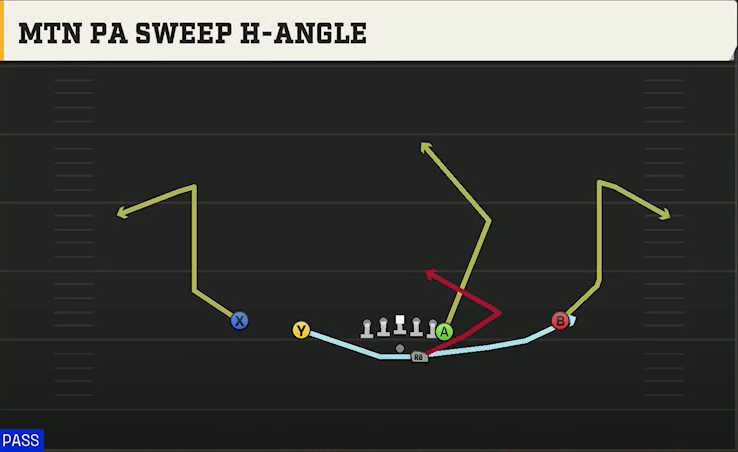 Florida State Offense Gun Doubles Y Off Mtn PA Sweep H-angle play diagram