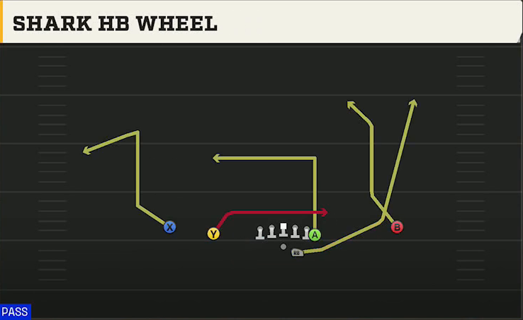 FIU Offense Gun Doubles Y Off Shark HB Wheel play diagram