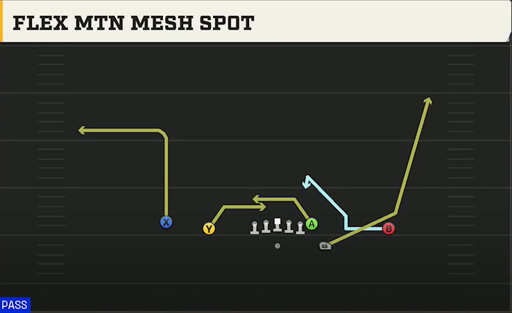 Florida Offense Gun Doubles Flex Mtn Mesh Spot play diagram