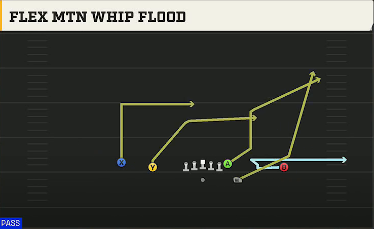 Florida Offense Gun Doubles Flex Mtn Whip Flood play diagram