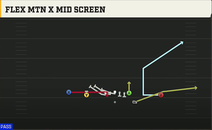 Florida Offense Gun Doubles Flex Mtn X Mid Screen play diagram