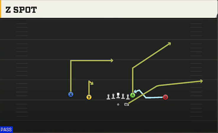 Option (Alternate Offense) Gun Doubles Z Spot play diagram