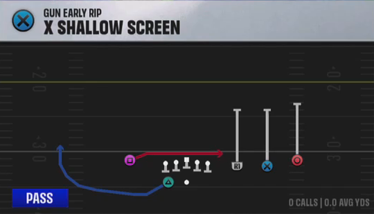 Air Raid (Alternate Offense) Gun Early Rip X Shallow Screen play diagram