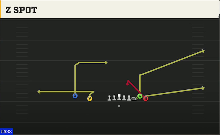 Stanford Offense Gun Empty Bunch Z Spot play diagram