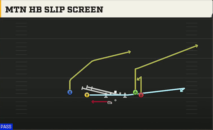 New Mexico State Offense Gun Flanker Close Wk Mtn HB Slip Screen play diagram