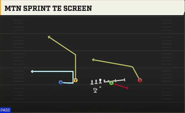 New Mexico Offense Gun Flex Y Off Wk Mtn Sprint TE Screen play diagram