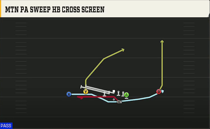 New Mexico Offense Gun Flex Y Off Mtn PA Sweep HB Cross Screen play diagram