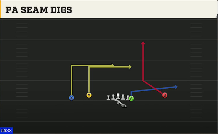 Charlotte Offense Gun Flex Y Off PA Seam Digs play diagram