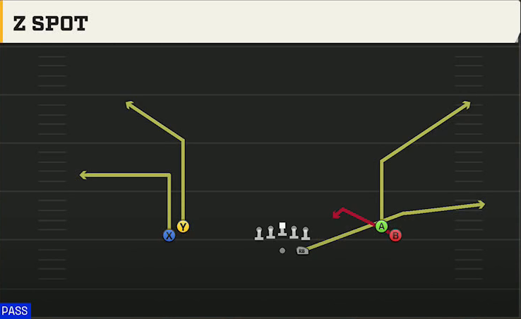 Delaware Offense Gun Normal Flex Snug Z Spot play diagram