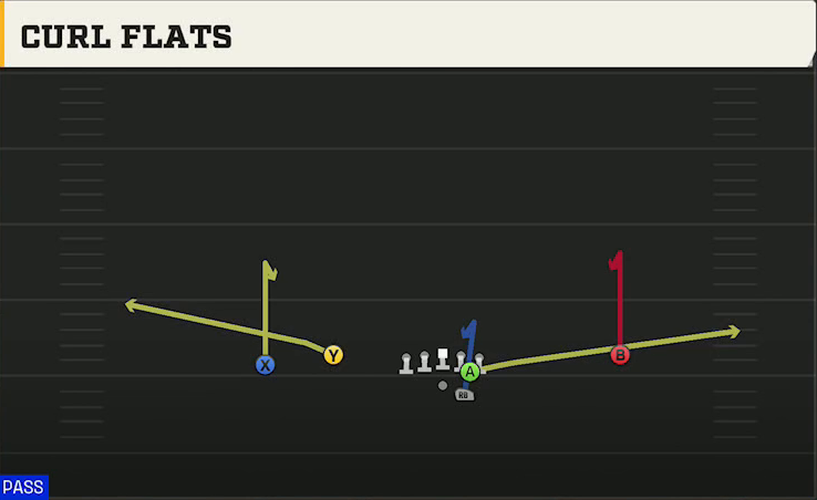 Florida State Offense Gun Normal Flex Wing Curl Flats play diagram