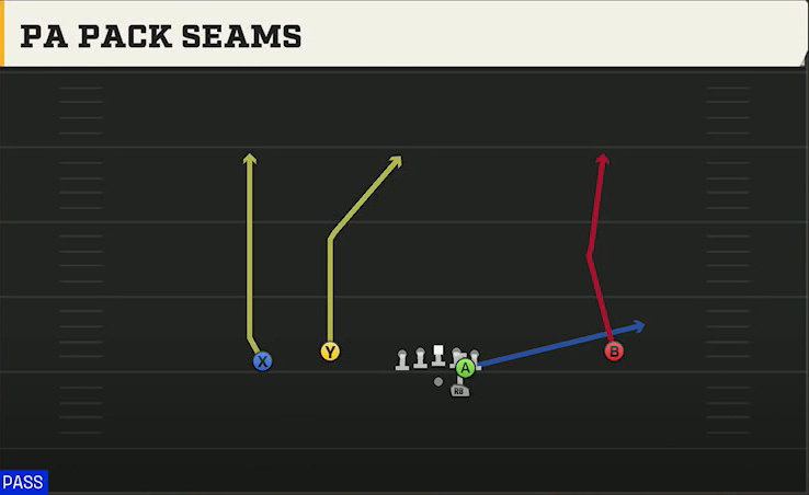 Florida State Offense Gun Normal Flex Wing PA Seams Shot play diagram