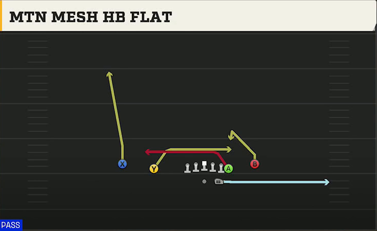 Charlotte Offense Gun Normal Y Off Close Mtn Mesh HB Flat play diagram