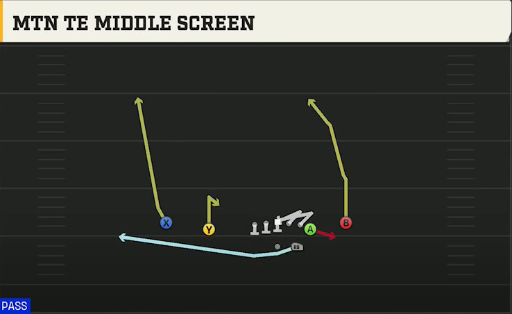 Missouri State Offense Gun Normal Y Off Close Mtn TE Middle Screen play diagram