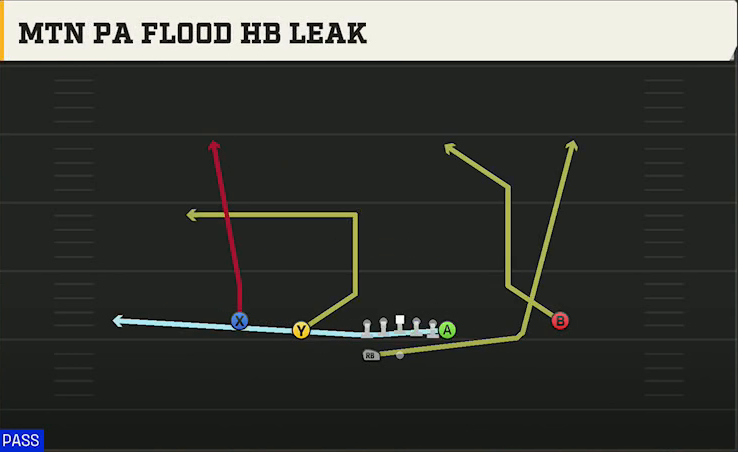 Georgia Offense Gun Normal Y Off Wk Mtn PA Flood HB Leak play diagram