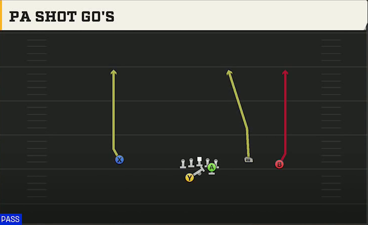 Clemson Offense Gun Open Flex Wk PA Shot Gos play diagram