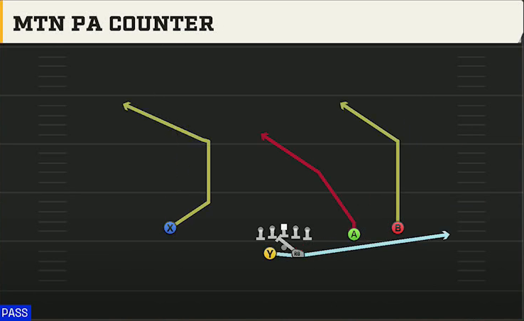 Purdue Offense Gun Split Slot Offset Mtn PA Counter play diagram