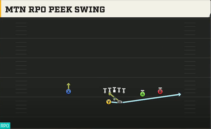 Nevada Offense Gun Split Slot Offset Mtn RPO Peek Swing play diagram