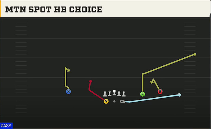 Texas A&M Offense Gun Split Slot Open Mtn Spot HB Choice play diagram