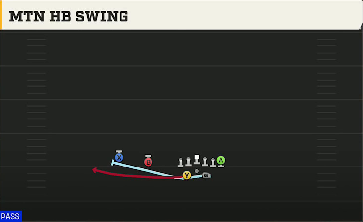 Texas Offense Gun Split Twins Offset Mtn HB Swing play diagram