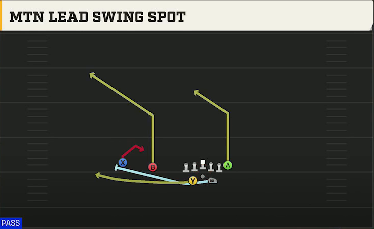 Texas Offense Gun Split Twins Offset Mtn Lead Swing Spot play diagram