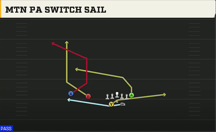 Texas Offense Gun Split Twins Offset Mtn PA Switch Sail play diagram