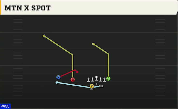 Liberty Offense Gun Split Twins Offset Mtn X Spot play diagram