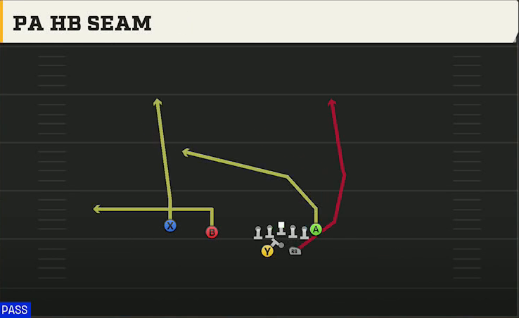 Liberty Offense Gun Split Twins Offset PA HB Seam play diagram