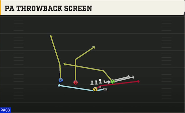 Liberty Offense Gun Split Twins Offset PA Throwback Screen play diagram
