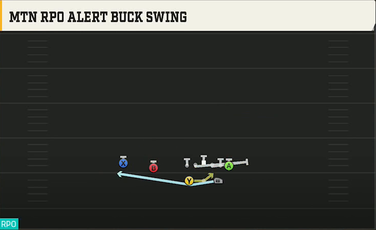 New Mexico Offense Gun Split Twins Mtn RPO Alert Buck Swing play diagram