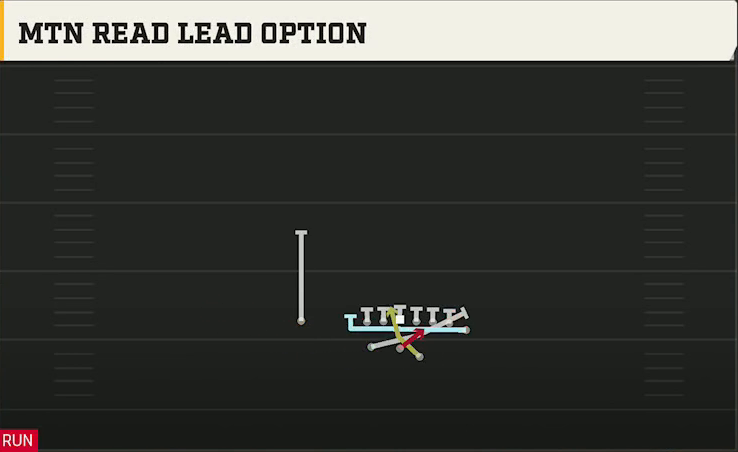 Auburn Offense Gun Split Wing Nasty Mtn Read Lead Option play diagram