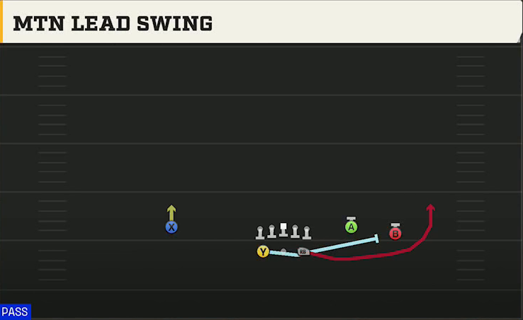 Georgia State Offense Gun Split Y-Flex Mtn Lead Swing play diagram