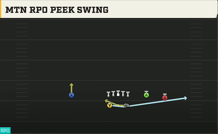Georgia State Offense Gun Split Y-Flex Mtn RPO Peek Swing play diagram