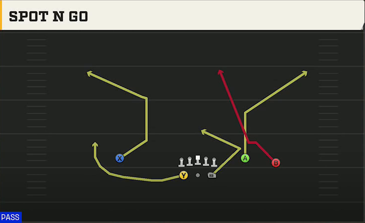 South Carolina Offense Gun Split Y-Flex Spot N Go play diagram