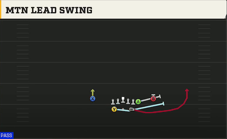 BYU Offense Gun Split Y Off Mtn Lead Swing play diagram