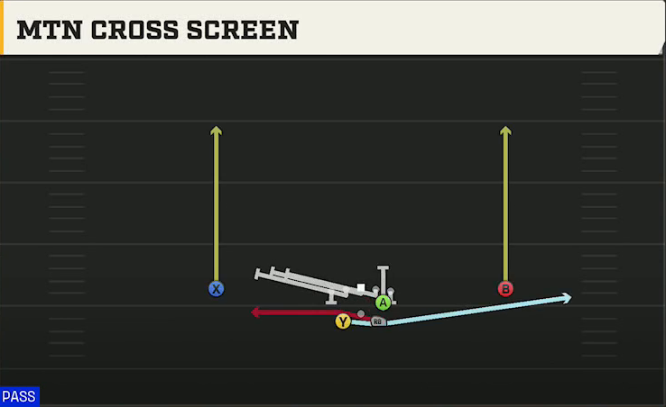 Central Michigan Offense Gun Split Y Offset Mtn Cross Screen play diagram