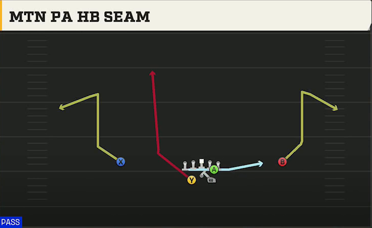 Central Michigan Offense Gun Split Y Offset Mtn PA HB Seam play diagram