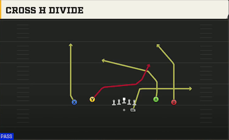 LSU Offense Gun Spread Dbl Flex Cross H Divide play diagram