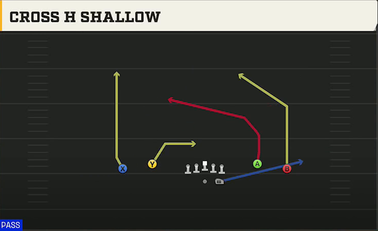 LSU Offense Gun Spread Dbl Flex Cross H Shallow play diagram
