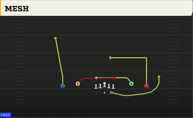 LSU Offense Gun Spread Dbl Flex Mesh play diagram