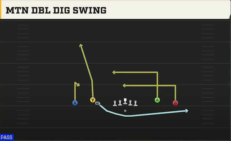 LSU Offense Gun Spread Dbl Flex Mtn Dbl Dig Swing play diagram