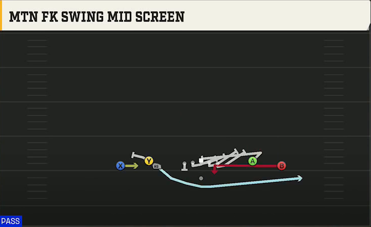 LSU Offense Gun Spread Dbl Flex Mtn FK Swing Mid Screen play diagram