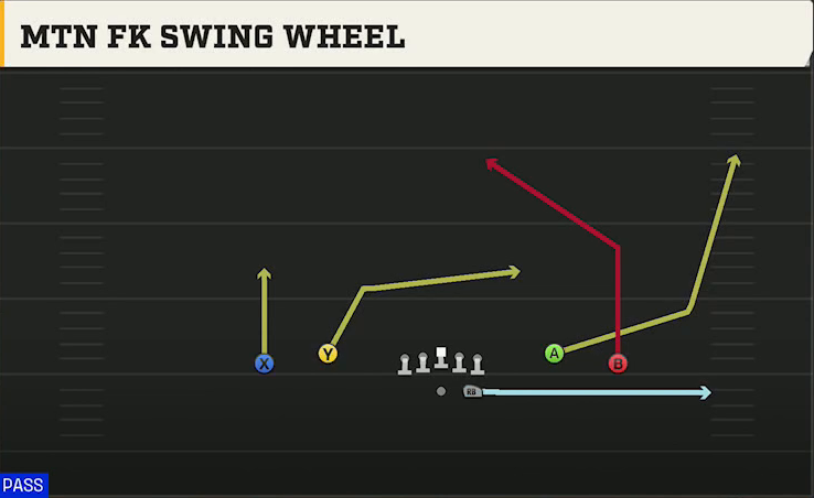 LSU Offense Gun Spread Dbl Flex Mtn FK Swing Wheel play diagram