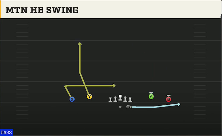 LSU Offense Gun Spread Dbl Flex Mtn HB Swing play diagram